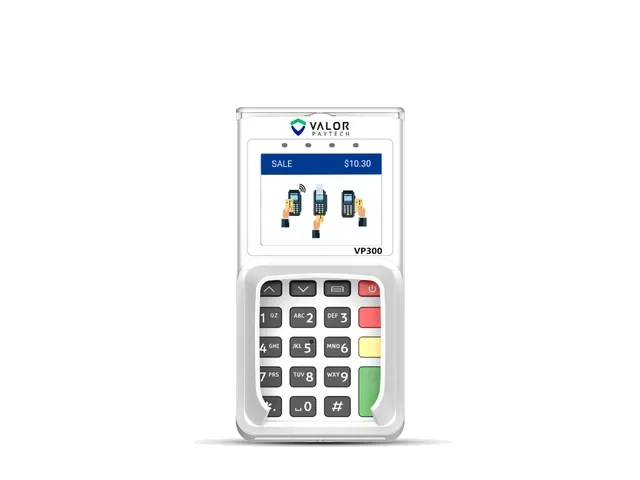VALOR VP300 model photo